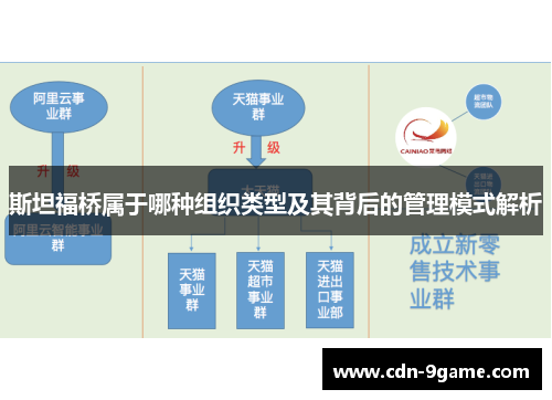 斯坦福桥属于哪种组织类型及其背后的管理模式解析