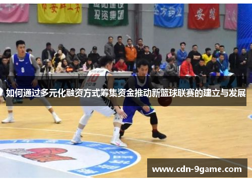 如何通过多元化融资方式筹集资金推动新篮球联赛的建立与发展