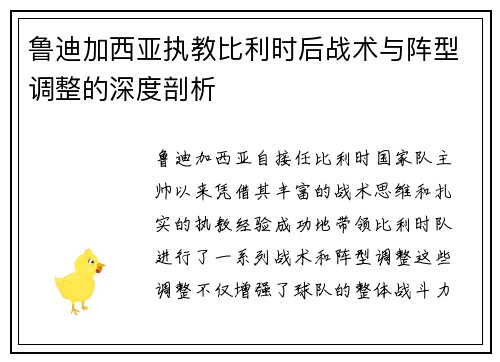 鲁迪加西亚执教比利时后战术与阵型调整的深度剖析