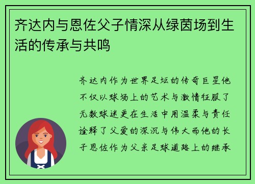 齐达内与恩佐父子情深从绿茵场到生活的传承与共鸣